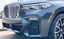 BMW BMW khác X7 xDrive 40i 2019 - Cần bán BMW X7 xDrive 40i đời 2019, màu xám, nhập khẩu chính hãng