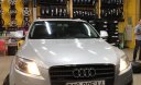 Audi Q7   2008 - Bán Audi Q7 đời 2008, màu bạc, nhập khẩu còn mới