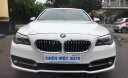 BMW 5 Series   2014 - Bán BMW 520i sản xuất 2014, màu trắng, nhập khẩu  