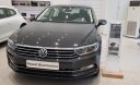 Volkswagen Passat 2018 - Cần bán lại xe Volkswagen Passat 2018 xe còn mới