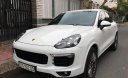 Porsche Cayenne   2017 - Cần bán xe cũ Porsche Cayenne 3.0 Platinum Edition đời 2017, màu trắng, nhập khẩu