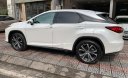 Lexus RX   2019 - Cần bán Lexus RX 300 sản xuất 2019, màu trắng, nhập khẩu  