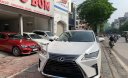Lexus RX   2019 - Cần bán Lexus RX 300 sản xuất 2019, màu trắng, nhập khẩu  