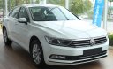 Volkswagen Passat 2018 - Cần bán nhanh chiếc xe Volkswagen Passat Bluemotion 2018, màu trắng, nhập khẩu nguyên chiếc