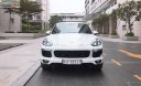 Porsche Cayenne 2015 - Bán Porsche Cayenne năm sản xuất 2015, màu trắng, nhập khẩu 