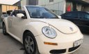 Volkswagen Beetle 2005 - Bán ô tô Volkswagen Beetle 2005, màu trắng, xe nhập số tự động