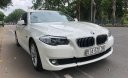 BMW 5 Series 520i 2013 - Xe BMW 5 Series 520i 2013, màu trắng, nhập khẩu