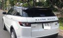 LandRover Evoque Dynamic 2013 - Cần bán xe LandRover Range Rover Evoque Dynamic 2.0 đời 2013, màu trắng, nhập khẩu nguyên chiếc xe gia đình