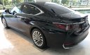Lexus ES 2019 - Bán nhanh chiếc xe hạng sang  Lexus ES  250, đời 2019, màu đen, nhập khẩu nguyên chiếc