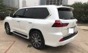 Lexus LX 570 2018 - Cam kết xe siêu mới 99,999% Lexus LX570 xuất Mỹ, màu trắng, nội thất nâu đỏ, xe sản xuất 2018, đăng ký cuối 2018 tên cá nhân