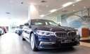 BMW 5 Series 530i 2019 - Cần bán xe BMW 530i 2019, nhập khẩu nguyên chiếc chính hang, giá tốt toàn quốc