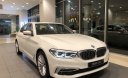 BMW 5 Series 530i 2019 - BMW 530i chìa khóa màn hình đẳng cấp, màu trắng, xe nhập Đức nguyên chiếc, mới 100%