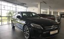 Mercedes-Benz C200 2019 - C200 chính hãng lưu kho giá cực tốt tiết kiệm 300tr