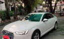 Audi A4   2016 - Bán Audi A4 sản xuất năm 2016, màu trắng, nhập khẩu xe gia đình