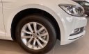 Volkswagen Passat Comfort 2019 - Passat Comfort sang trọng lịch lãm chuẩn " Châu Âu", giá sau giảm 1.214.400.000 