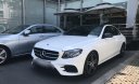 Mercedes-Benz E300 2019 - Cần bán lại xe Mercedes năm 2019, màu trắng