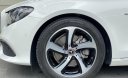 Mercedes-Benz E class 2020 - Bán xe Mercedes Sport đời 2020, màu trắng