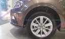 Volkswagen Polo 2020 - Volkswagen Polo 2020 màu nâu nhập khẩu nguyên chiếc giá 695 triệu - giao ngay - khuyến mãi hấp dẫn