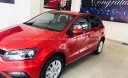 Volkswagen Polo    2020 - Bán Volkswagen Polo năm 2020, màu đỏ, nhập khẩu chính hãng