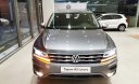 Volkswagen Tiguan Luxury S 2021 - Volkswagen Tiguan màu xám nhập khẩu 2021, siêu khuyến mãi