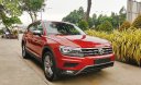 Volkswagen Tiguan Luxury S 2021 - Volkswagen Tiguan 2021 màu đỏ nhập khẩu 