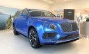 Bentley 2020 - Bản đặc biệt, số lượng giới hạn, giá tốt