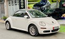 Volkswagen Beetle 2005 - Bán Volkswagen Beetle 2.5L sản xuất 2005, màu trắng, xe nhập số tự động