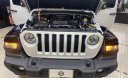 Jeep Wrangler   2020 - Bán Jeep Wrangler đời 2020, màu trắng, xe nhập, số tự động