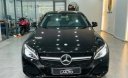 Mercedes-Benz C200 2016 - Bán ô tô Mercedes C200 sản xuất 2016, màu đen, giá chỉ 880 triệu