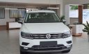 Volkswagen Tiguan 2022 - Dòng xe Đức cao cấp
