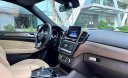 Mercedes-Benz GLS 400 2018 - Xe màu đen