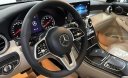 Mercedes-Benz GLC 200 2022 - Mercedes-Benz GLC 200 2022 tại Hà Nội