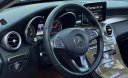 Mercedes-Benz C 250 2016 - Mercedes-Benz C 250 2016