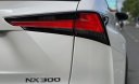 Lexus NX 300 2018 - Model 2019