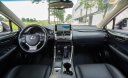 Lexus NX 300 2018 - Màu đỏ, nhập khẩu nguyên chiếc