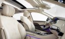Mercedes-Benz S450 2019 - Xe màu đen sang trọng