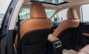 Lexus RX 300 2021 - Màu đen, nhập khẩu nguyên chiếc số tự động