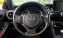 Lexus IS 300 2021 - 1 chủ sử dụng từ mới