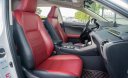 Lexus NX 300 2019 - 1 chủ sử dụng từ đầu, model 2020