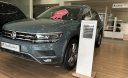Volkswagen Tiguan 2022 - Xanh petro, nội thất đen, nhập khẩu, mới 100%