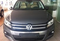 Volkswagen Tiguan 2.0 TSI 2016 - Volkswagen Đà Nẵng bán SUV Tiguan 2.0 TSI đời 2016, màu xám, xe nhập Đức. LH 0901.941.899 giá 1 tỷ 290 tr tại Bình Định