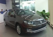 Volkswagen Polo 2016 - Bán xe Volkswagen Polo sản xuất 2016, màu xám (ghi), nhập khẩu chính hãng giá 740 triệu tại Bình Phước
