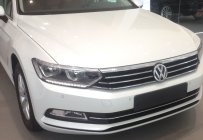 Volkswagen Passat E 2016 - Bán Volkswagen Passat đời 2016, màu trắng, xe nhập giá 1 tỷ 540 tr tại Tây Ninh