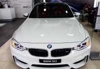 BMW M3 2016 - BMW M3 Sedan phiên bản siêu thể thao, thoải mái đam mê tốc độ giá 3 tỷ 958 tr tại Tp.HCM