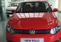 Volkswagen Polo 1.6L 2015 - Bán ô tô Volkswagen Polo 1.6L đời 2015, màu đỏ, nhập khẩu chính hãng, giá 679tr giá 679 triệu tại Gia Lai