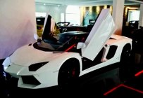 Bán ô tô Lamborghini Aventado Roadster đời 2016, màu trắng, nhập khẩu chính hãng giá 11 tỷ 372 tr tại Tp.HCM