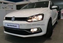 Volkswagen Polo 2016 - cần bán Volkswagen Polo Hatchback 2016 mới 100% nhập chính hãng - đối thủ của Yaris, Focus - Quang Long 0933689294 giá 695 triệu tại Lâm Đồng