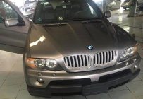 BMW X5 2004 - Bán ô tô BMW X5 đời 2004, màu ghi vàng   giá 540 triệu tại Đắk Lắk