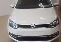 Volkswagen Polo   2015 - Bán Volkswagen Polo năm 2015, màu trắng, nhập khẩu   giá 657 triệu tại Đắk Lắk