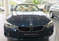 BMW 4 Series 420i 2017 - Cần bán BMW 4 Series năm sản xuất 2017, màu xanh lam, xe nhập giá 2 tỷ 649 tr tại Tây Ninh